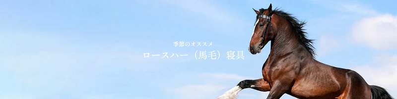 ���[���b�p�����Q����T�C�g